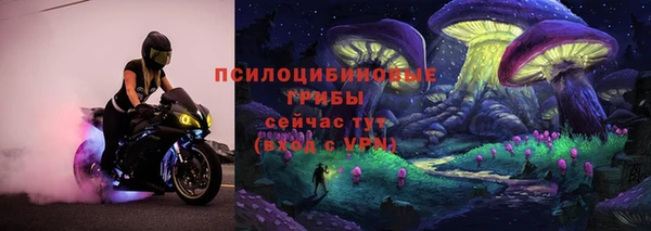 дмт Арсеньев