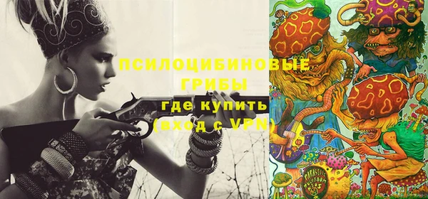 дмт Арсеньев