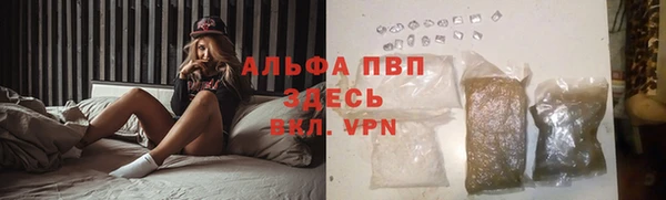 дмт Арсеньев