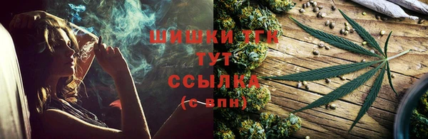 дмт Арсеньев
