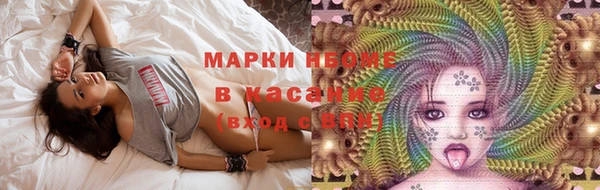 стаф Алзамай