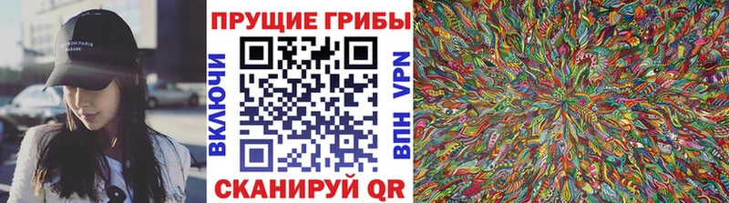 Псилоцибиновые грибы прущие грибы  блэк спрут ссылки  Муравленко 